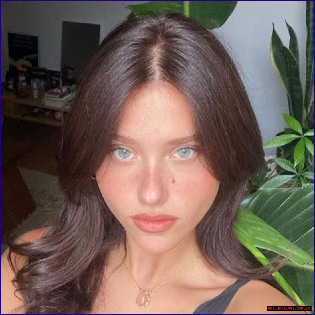 Is Nicole Wallace Jewish? Uncovering The Truth